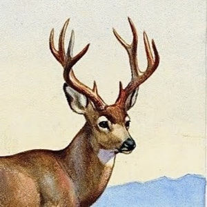 Meet your Posher, Julyssa